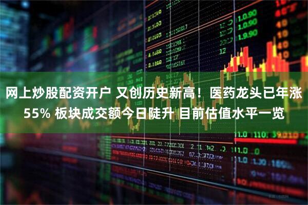 网上炒股配资开户 又创历史新高！医药龙头已年涨55% 板块成交额今日陡升 目前估值水平一览